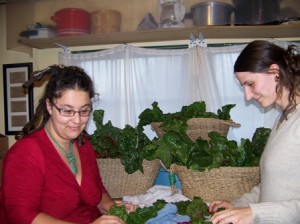 Read more about the article Dehydrating Greens