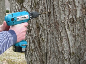 Read more about the article My Spring Project