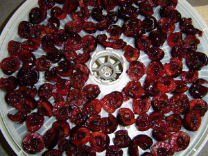 Read more about the article Cherry Season