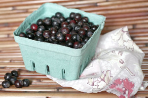 Read more about the article Granola and Milk with Saskatoon Berries