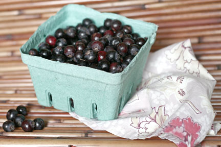 Granola and Milk with Saskatoon Berries
